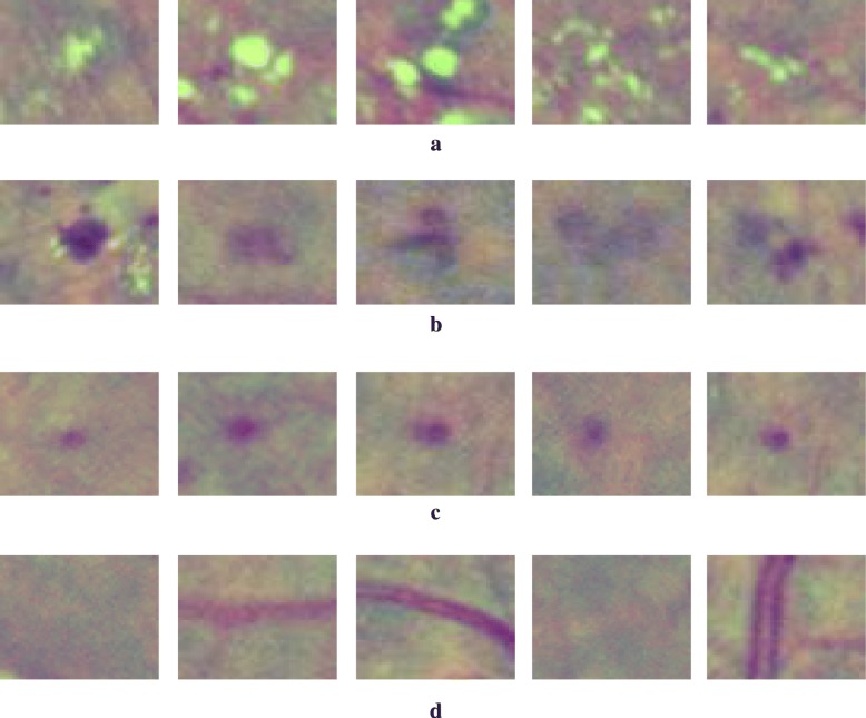 Fig. 6