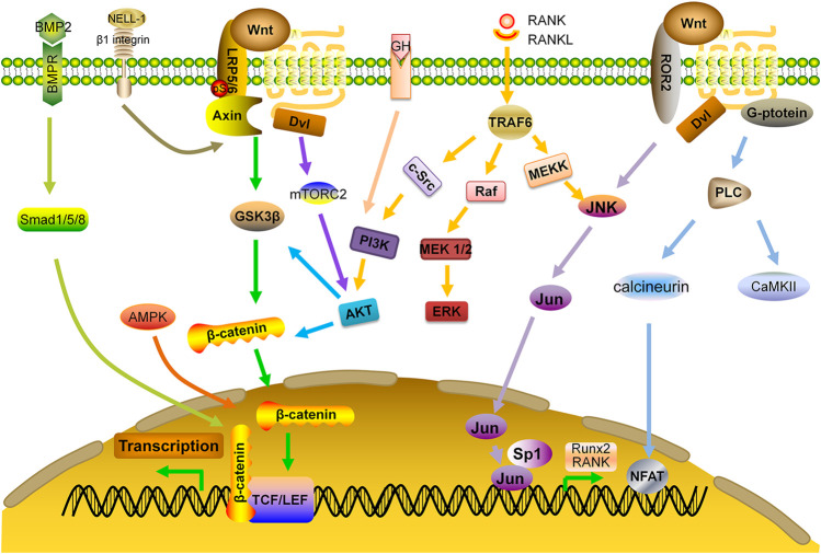 FIGURE 3