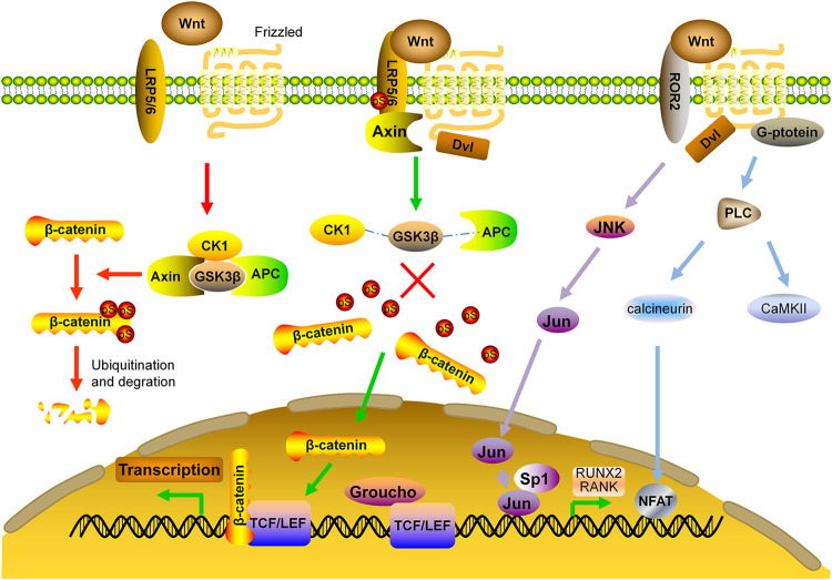 FIGURE 2