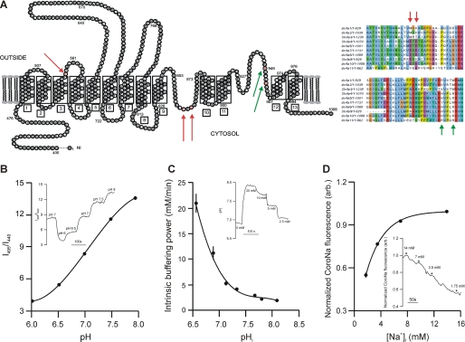 FIGURE 1.