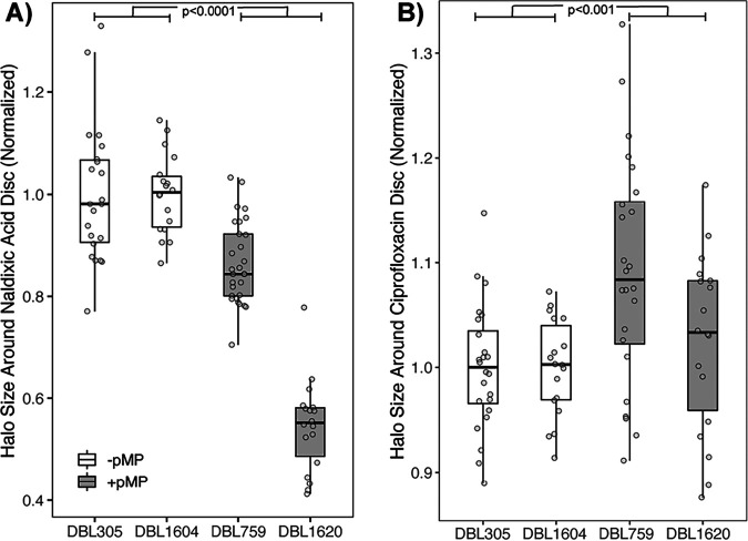 FIG 3