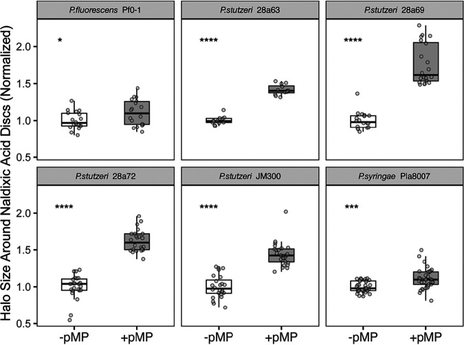 FIG 2