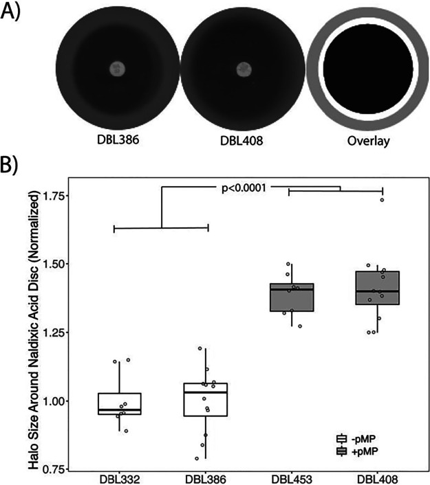 FIG 1