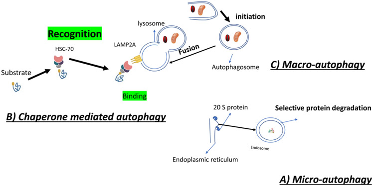 Figure 1: