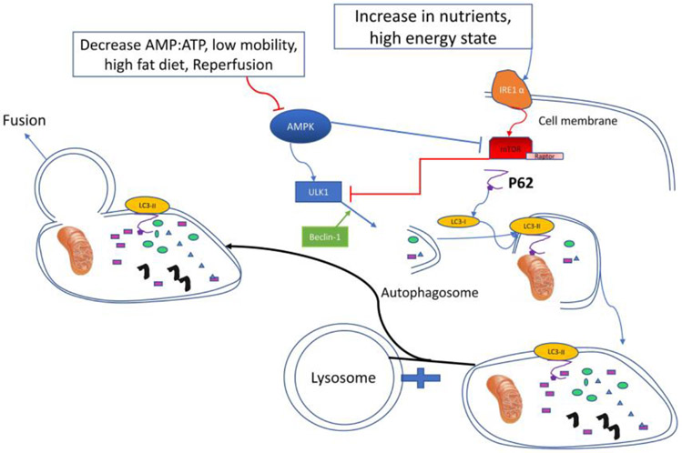 Figure 2: