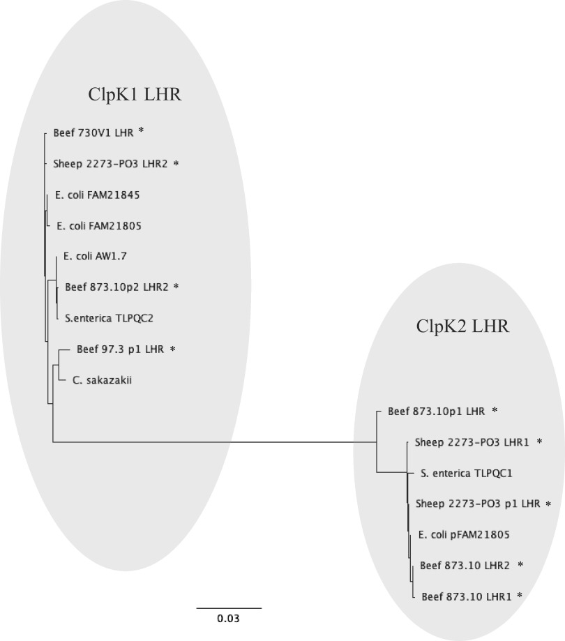 FIG 3