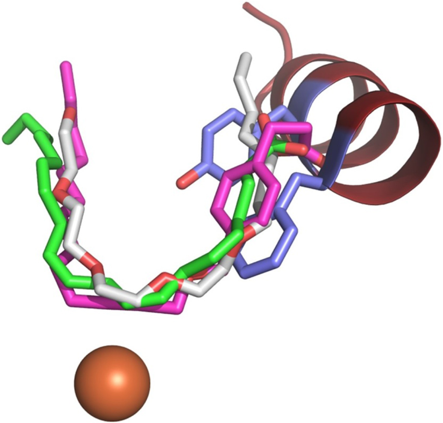 Figure 2.