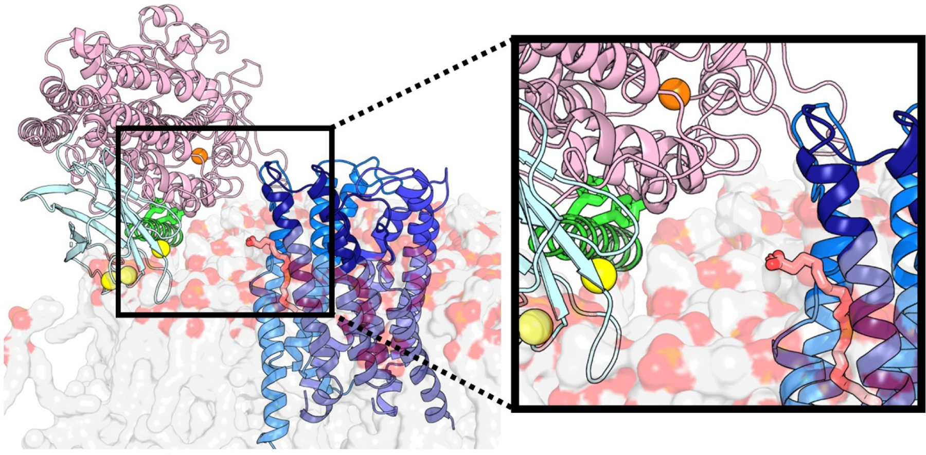 Figure 5.