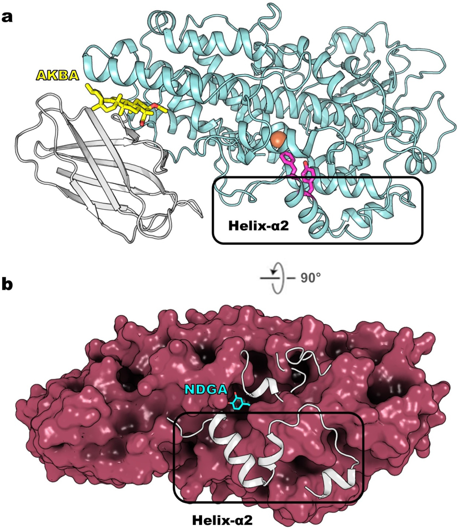 Figure 7.