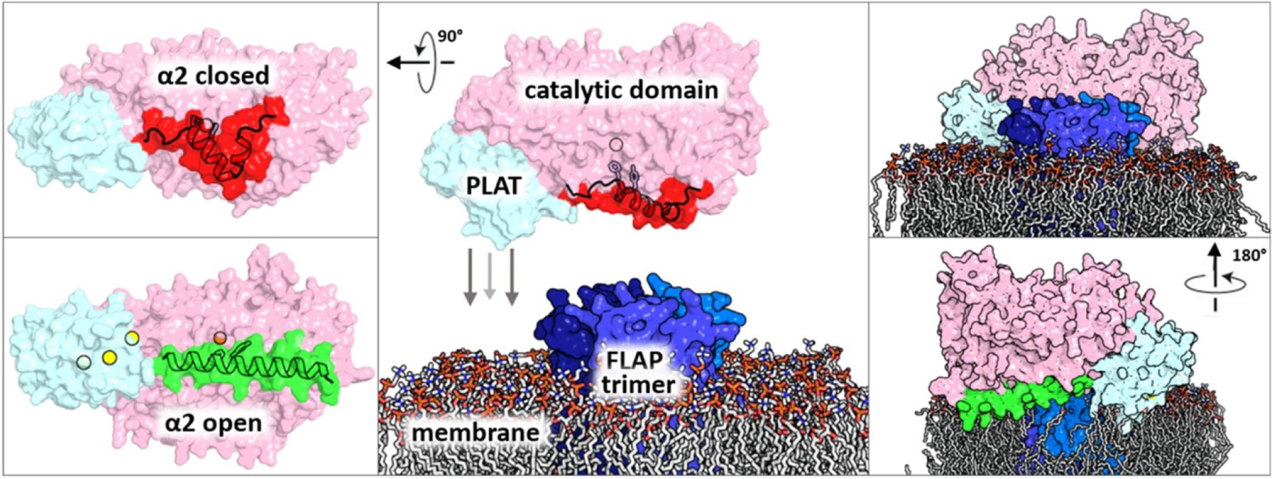 Figure 4.