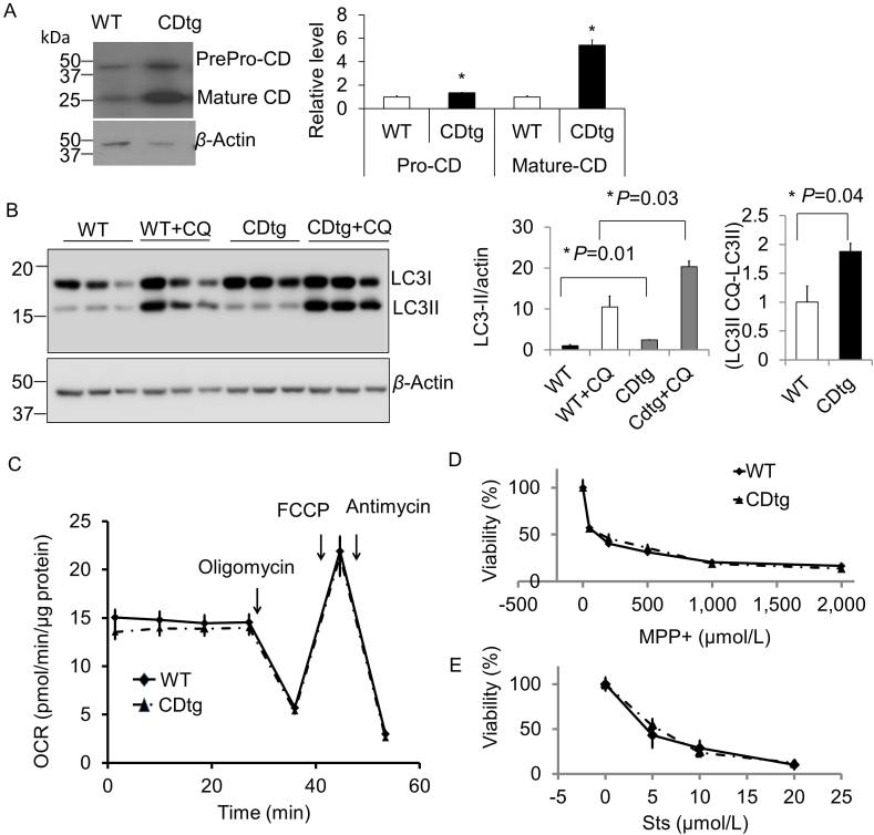 Figure 2