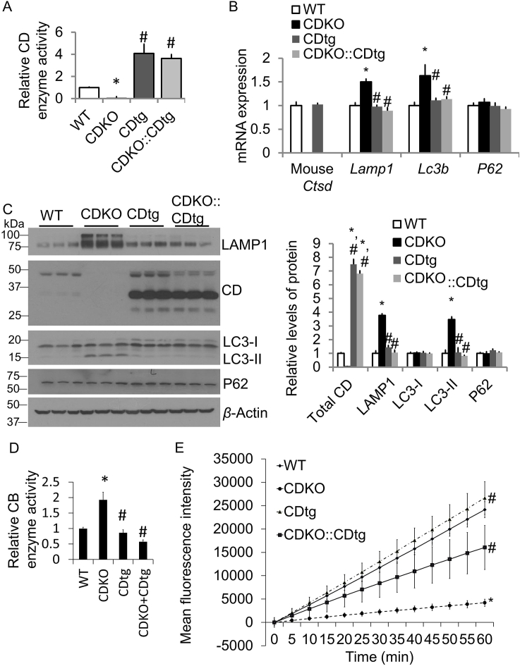 Figure 6