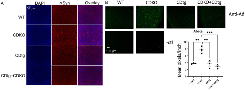 Figure 7