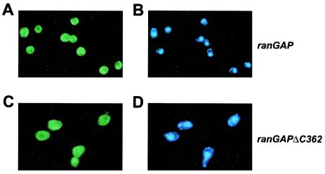 FIG. 14.