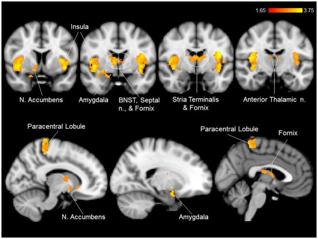 Figure 7