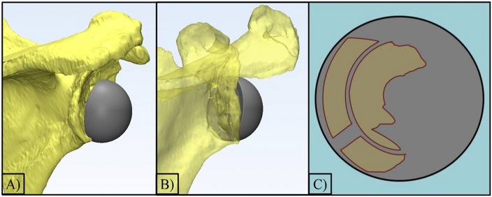 Fig. 5