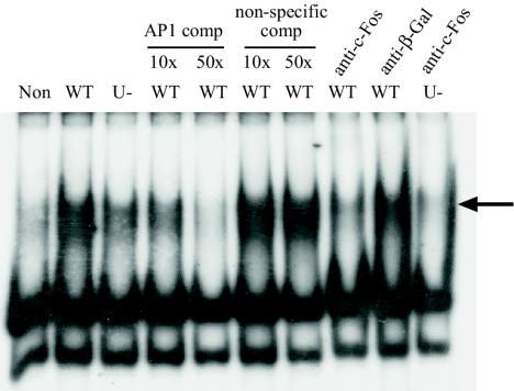 FIG. 5.