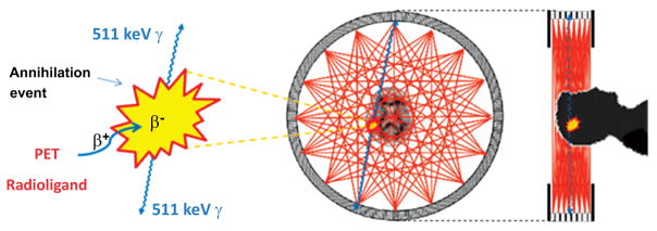 Fig. (1)