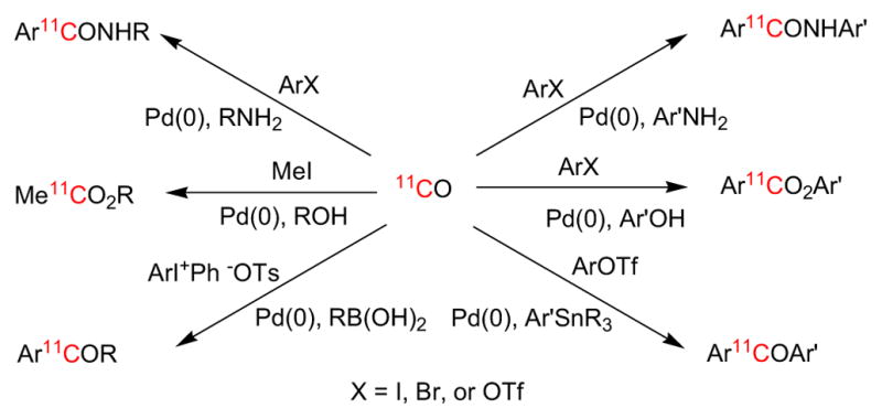 Fig. (21)