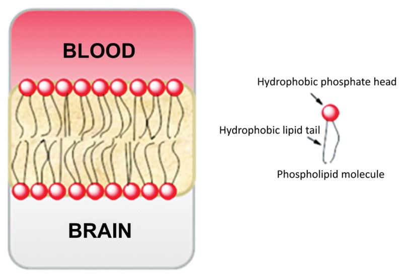 Fig. (11)