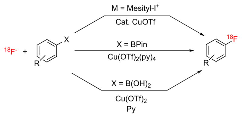 Fig. (24)