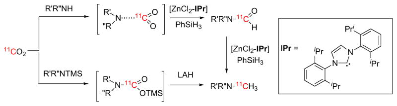 Fig. (17)