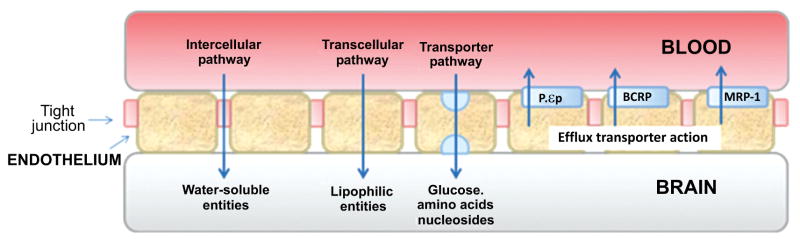 Fig. (10)