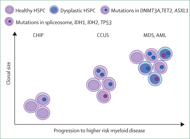 Figure 4: