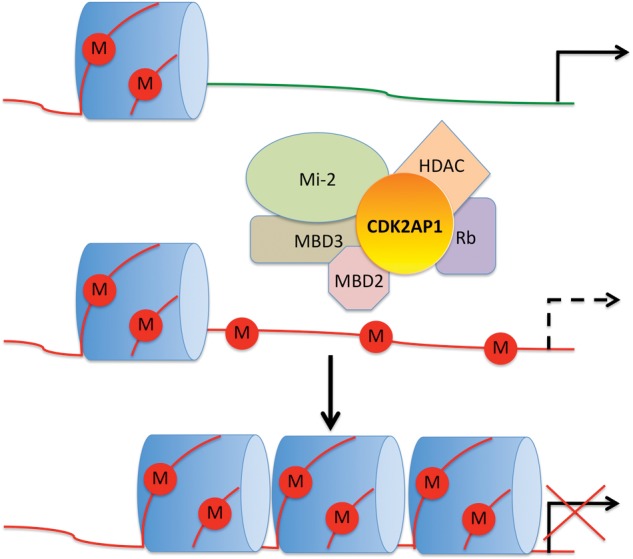 Figure 2.