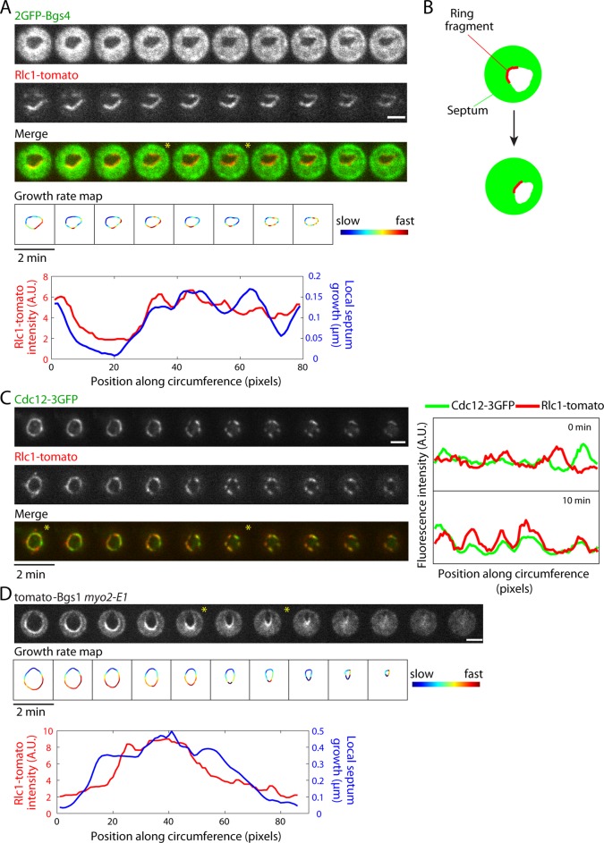 FIGURE 7: