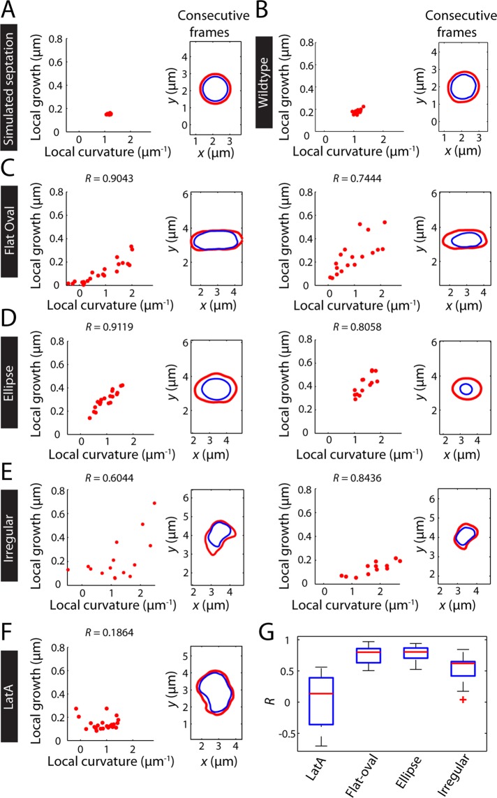 FIGURE 5: