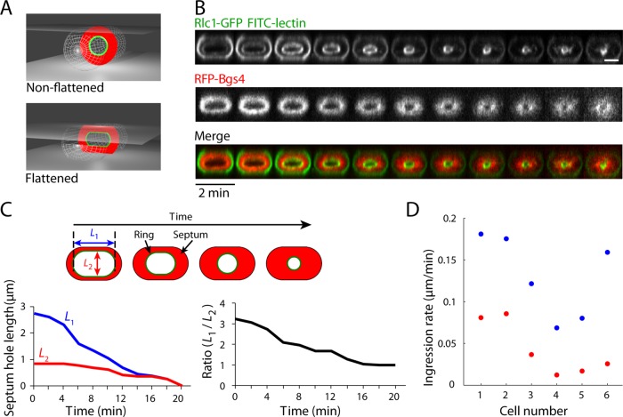 FIGURE 2: