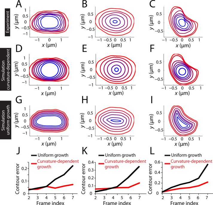 FIGURE 6: