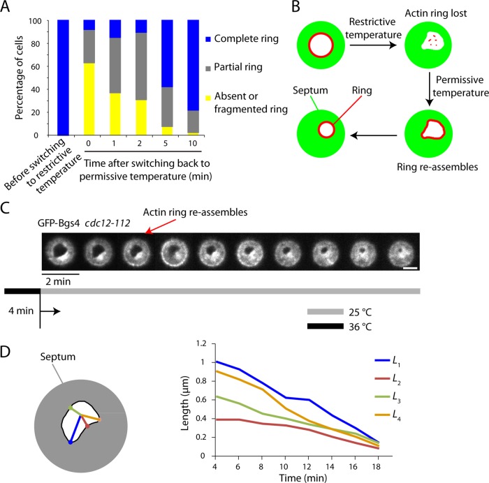 FIGURE 4: