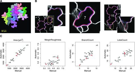 Figure 3.