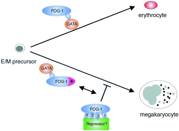 FIG. 6.