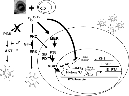 FIG. 7.