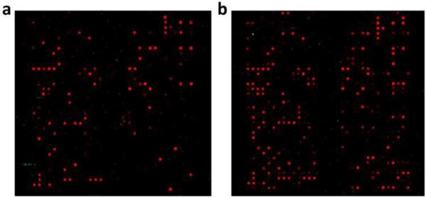 Figure 16