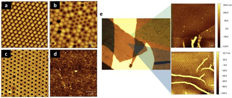 Figure 23