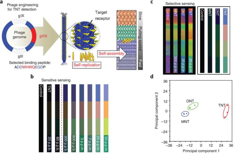 Figure 22