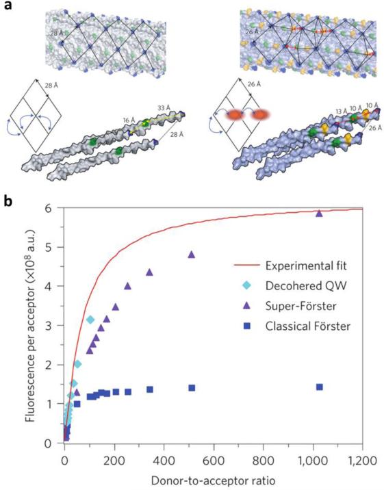 Figure 25