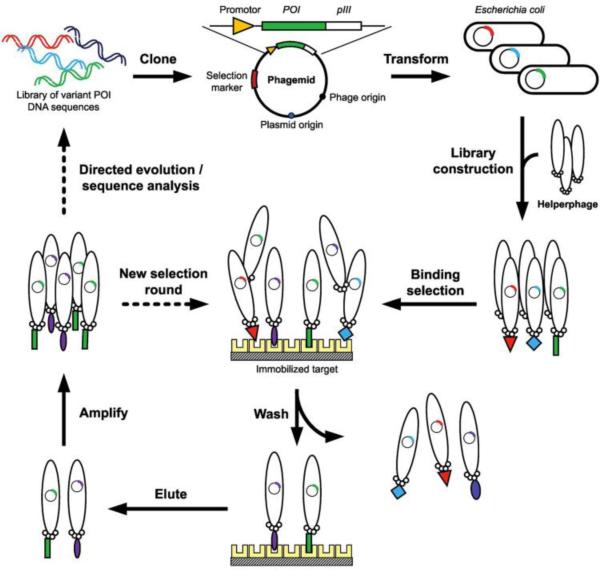 Figure 15