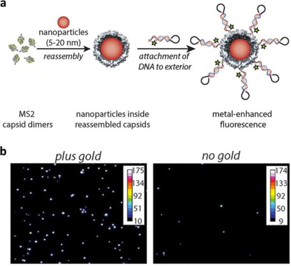 Figure 26