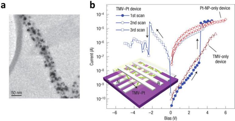 Figure 24