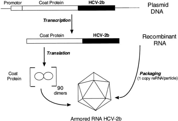 Figure 17