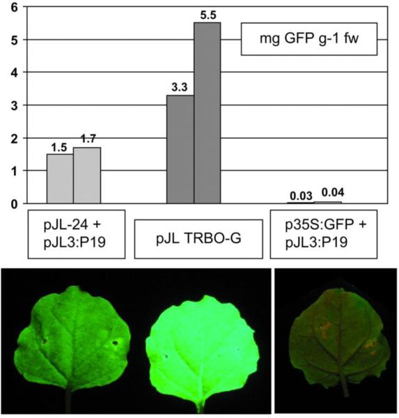 Figure 20