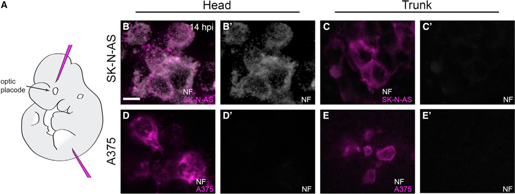 Figure 3.