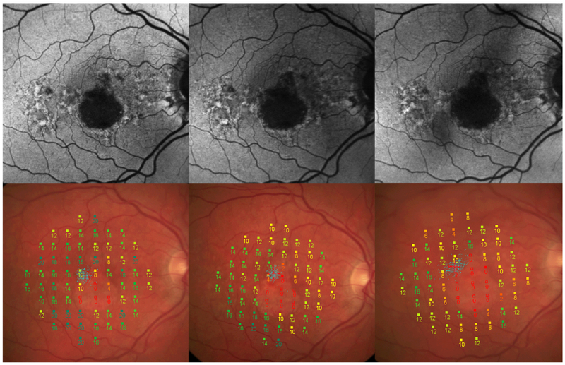 Fig. 3