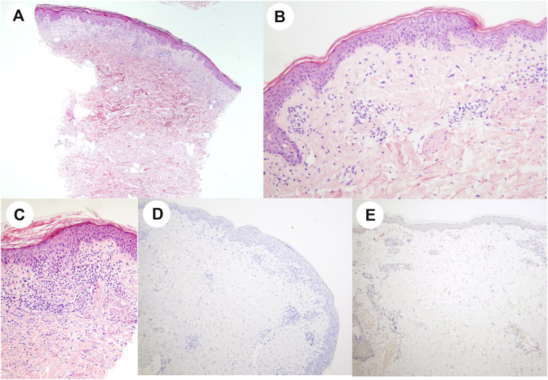 Fig. 3