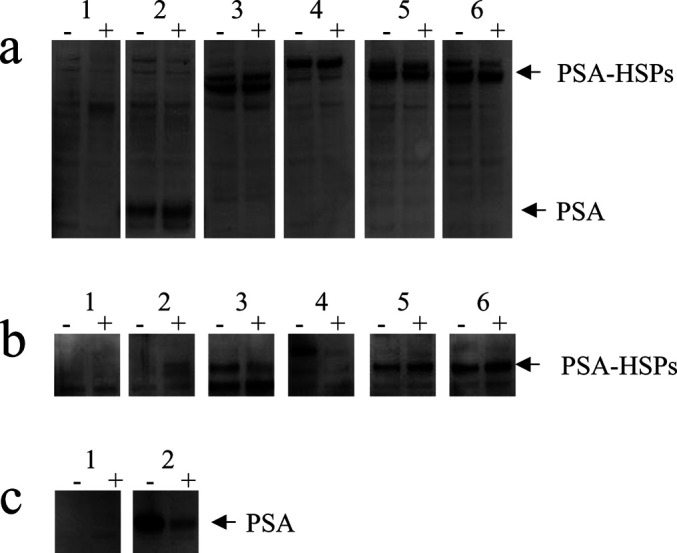 Fig. 2a–c